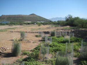 Beginning restoration efforts