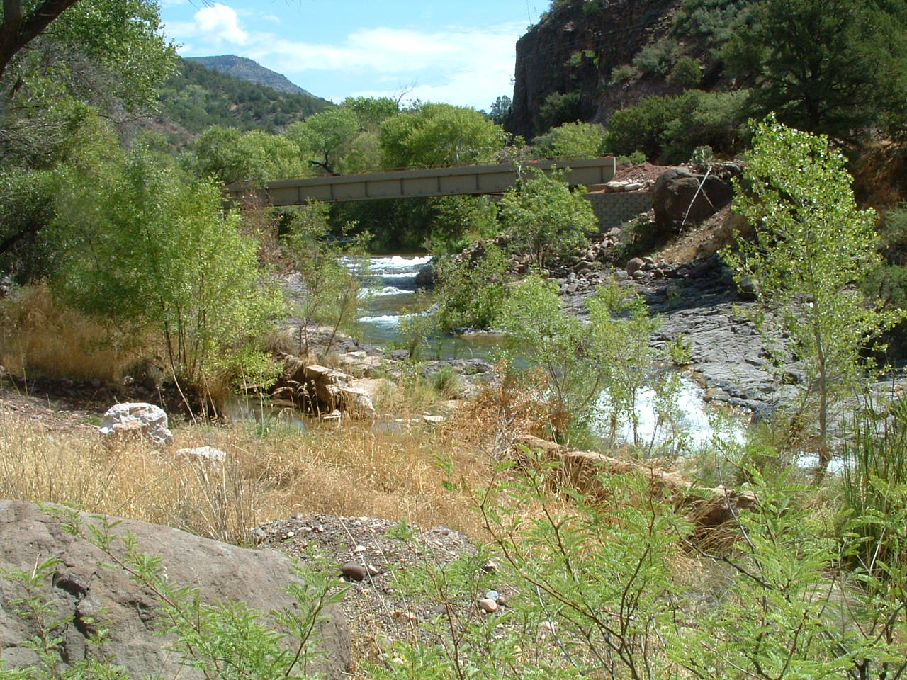 Fossil Creek